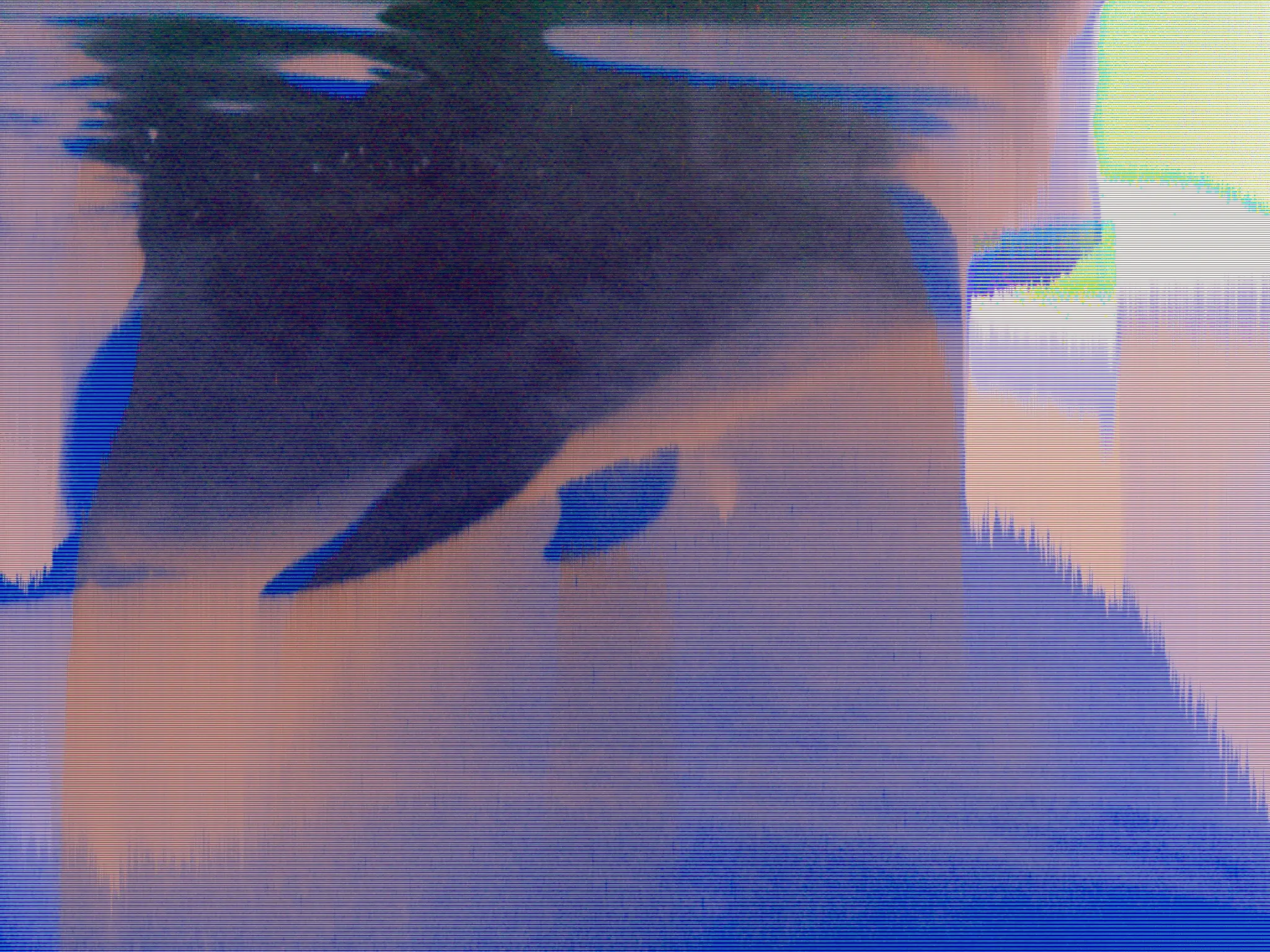 BPMC Paup Eye: Dolphin, Kolmården
